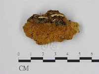 登錄號:F0009598藏品圖，第3張