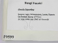 登錄號:F0009599藏品圖，第2張