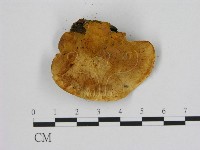 登錄號:F0009599藏品圖，第3張