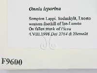 登錄號:F0009600藏品圖，第2張