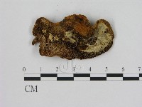 登錄號:F0009600藏品圖，第3張