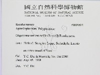 登錄號:F0009601藏品圖，第2張