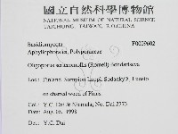 登錄號:F0009602藏品圖，第2張