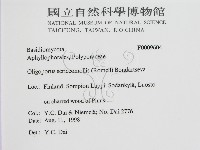 登錄號:F0009604藏品圖，第2張