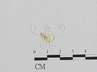 登錄號:F0009604藏品圖，第3張