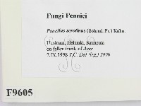 登錄號:F0009605藏品圖，第2張