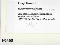 登錄號:F0009608藏品圖，第2張