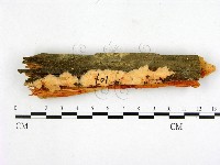 登錄號:F0009608藏品圖，第1張