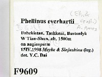 登錄號:F0009609藏品圖，第2張