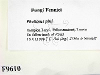 登錄號:F0009610藏品圖，第2張