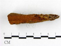 登錄號:F0009610藏品圖，第3張