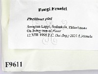 登錄號:F0009611藏品圖，第2張