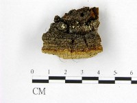 登錄號:F0009611藏品圖，第1張