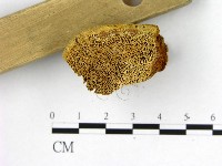 登錄號:F0009611藏品圖，第3張