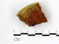 登錄號:F0009611藏品圖，第4張