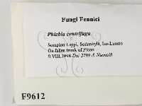 登錄號:F0009612藏品圖，第2張