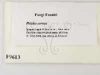 登錄號:F0009613藏品圖，第2張