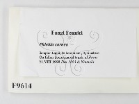 登錄號:F0009614藏品圖，第2張