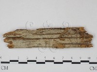 登錄號:F0009615藏品圖，第1張