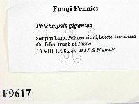 登錄號:F0009617藏品圖，第2張
