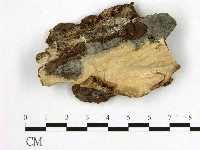 登錄號:F0009617藏品圖，第1張