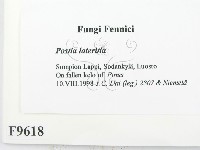 登錄號:F0009618藏品圖，第2張