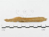 登錄號:F0009618藏品圖，第3張