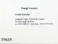 登錄號:F0009619藏品圖，第2張