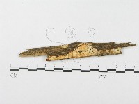 登錄號:F0009619藏品圖，第1張