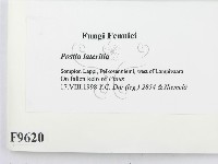 登錄號:F0009620藏品圖，第2張