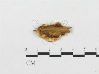 登錄號:F0009620藏品圖，第3張