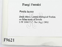 登錄號:F0009621藏品圖，第2張