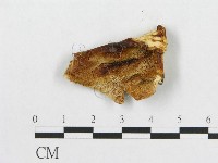 登錄號:F0009622藏品圖，第3張