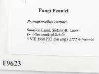 登錄號:F0009623藏品圖，第2張