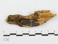 登錄號:F0009623藏品圖，第1張