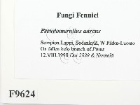 登錄號:F0009624藏品圖，第2張