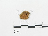 登錄號:F0009624藏品圖，第1張