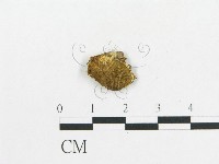 登錄號:F0009624藏品圖，第3張