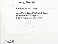 登錄號:F0009625藏品圖，第2張