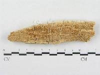 登錄號:F0009625藏品圖，第1張