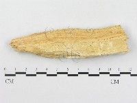 登錄號:F0009625藏品圖，第3張