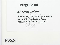 登錄號:F0009626藏品圖，第2張