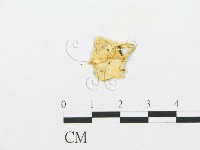 登錄號:F0009626藏品圖，第1張