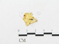 登錄號:F0009626藏品圖，第3張
