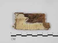登錄號:F0009627藏品圖，第1張