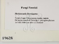 登錄號:F0009628藏品圖，第2張