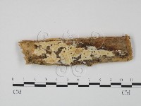 登錄號:F0009628藏品圖，第1張