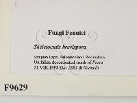 登錄號:F0009629藏品圖，第2張