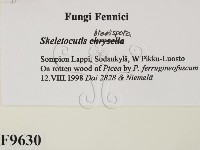 登錄號:F0009630藏品圖，第2張