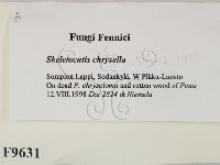 登錄號:F0009631藏品圖，第2張